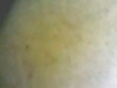 তারা ইংলিশ হট সেক্স ভিডিও দুজনেই শৃঙ্গাকার, কালো চামড়া এবং কঠিন চোদন পছন্দ করে